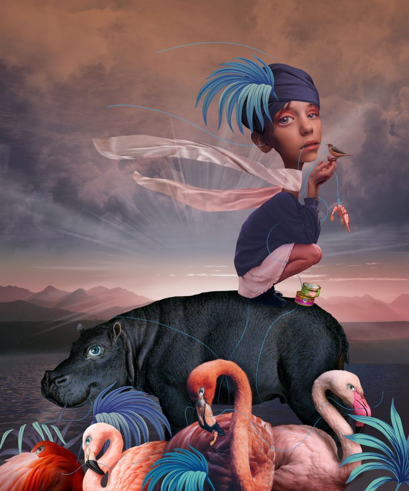 A SHRIMP TALE Caitlin TrumanBaker Art